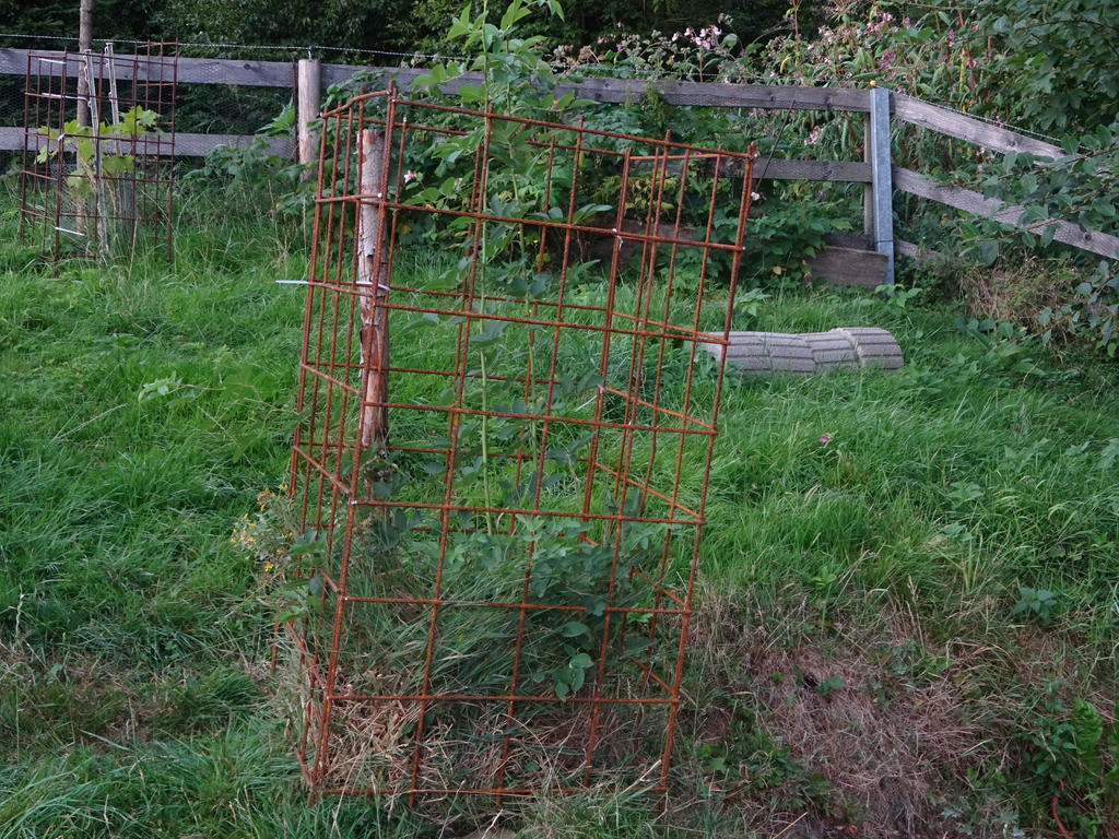 Robin Sudhoff Garten Landschaftsbau Sichtschutzelemente Aus