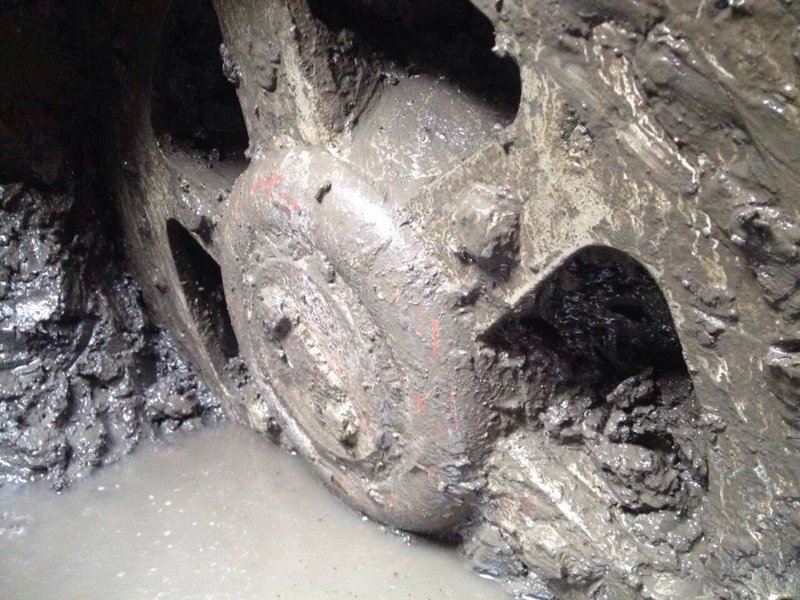 Neuigkeiten Kostritzer Dahlien Qualitat Aus Thuringen Seit 1872