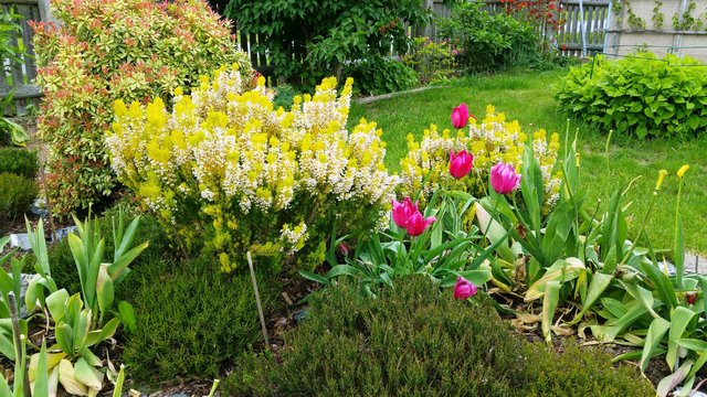 Staketenzaun Kastanie Wer Hat So Einen Seite 1 Gartengestaltung Mein Schoner Garten Online Garten Garten Deko Gartenkunst