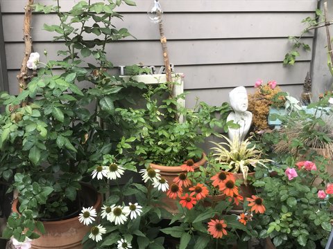 Vogeltranken Fur Den Garten Frisch Vogeltranke Aus Eisen Mein Schoner Garten Forum Garten Anlegen