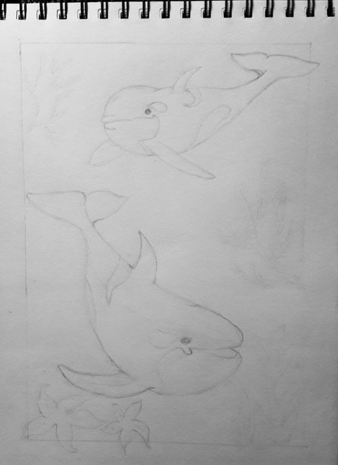 Malen Nach Zahlen Unterwasserwelt Fur Erwachsene Creative Arts Club De