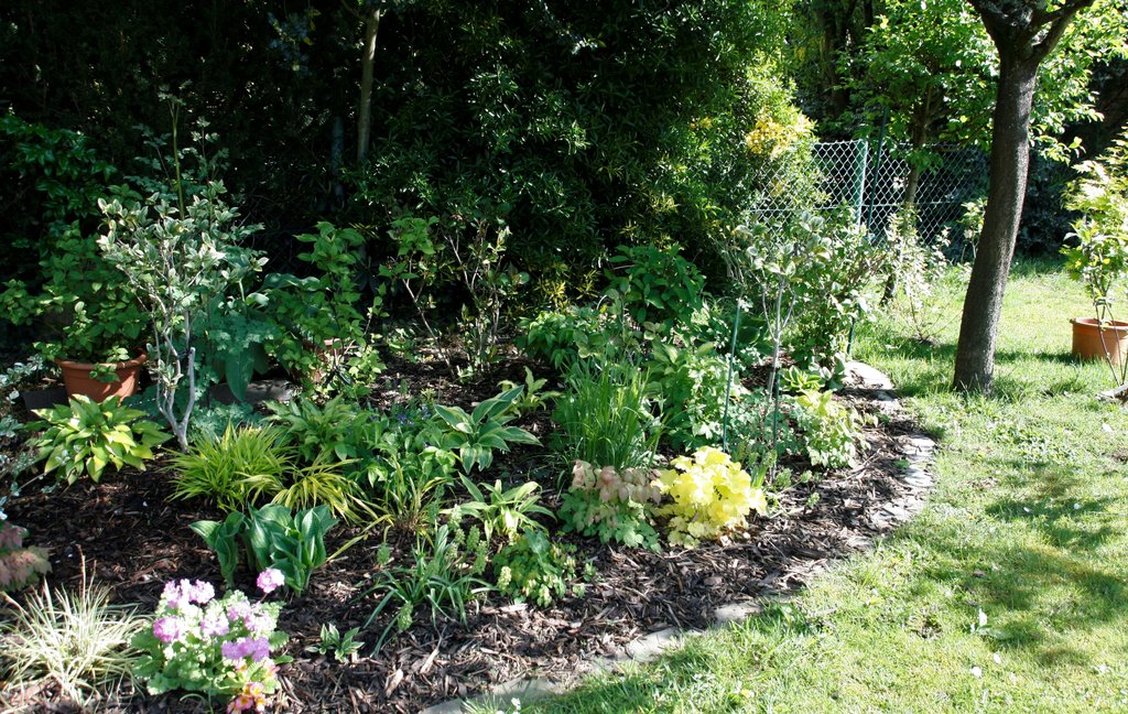 10 Gute Vorsatze Fur Einen Naturnahen Garten Nabu Niedersachsen