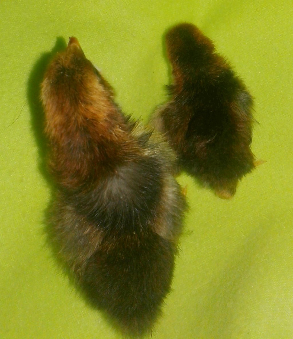 Compare Prices For Lustige Taco Spruche Designs Across All Amazon European Stores