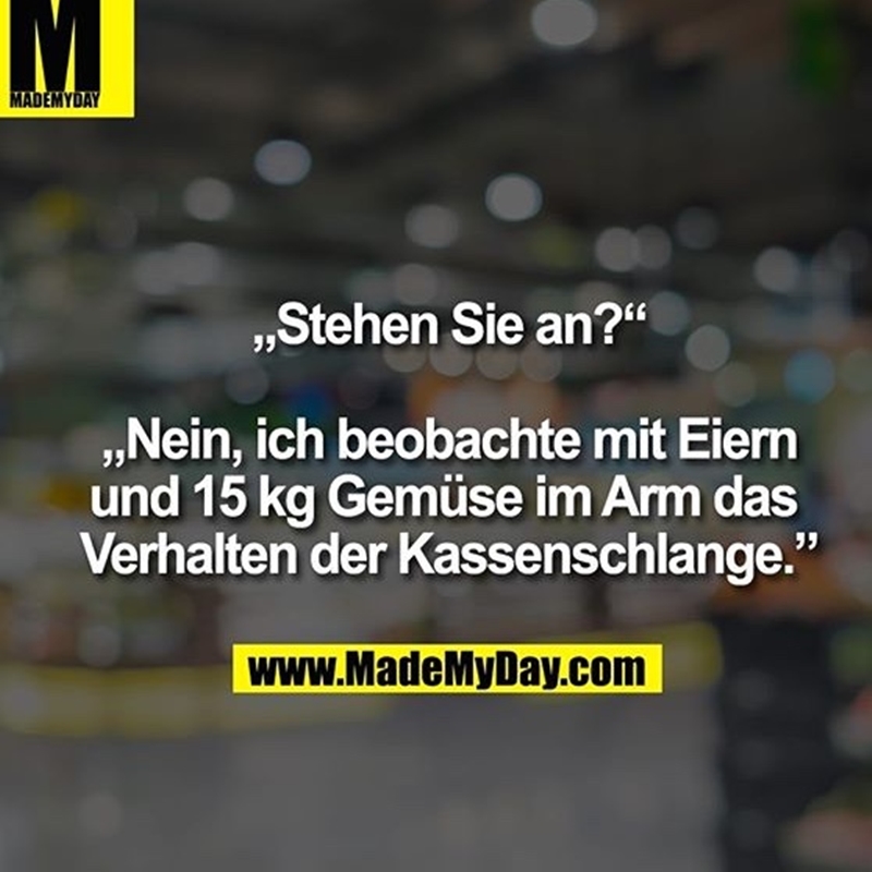 Bilder Und Sprüche - Seite 4 - Wellensittich Forum