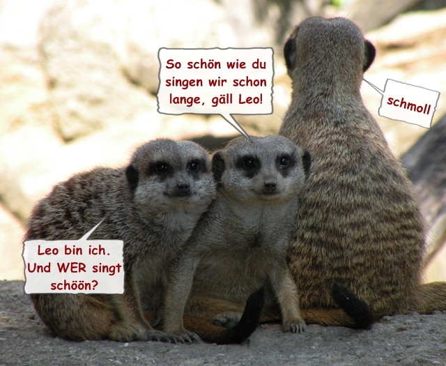 Ich werde dich beschenken, dich bekochen und deine gedanken lenken. Geburtstagswünsche Für Omas