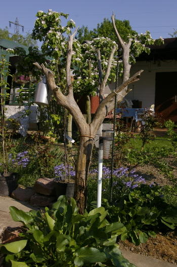 Rustikale Deko Im Garten 35 Reizvolle Ideen Fur Mehr Naturlichkeit Und Gemutlichkeit