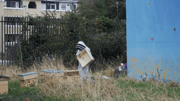 Anthony and the Bees ★★★★ (short) – Docs Ireland