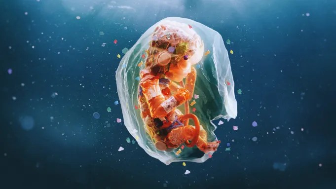 Plastic People ★★★ – Sheff Doc Fest