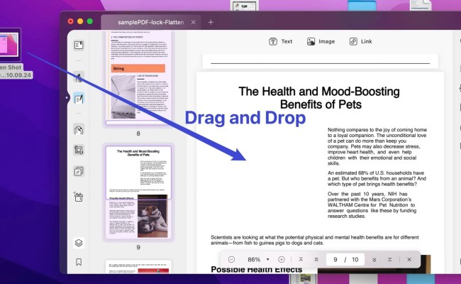 How To Insert Image Into PDFs On Mac With Preview?| UPDF