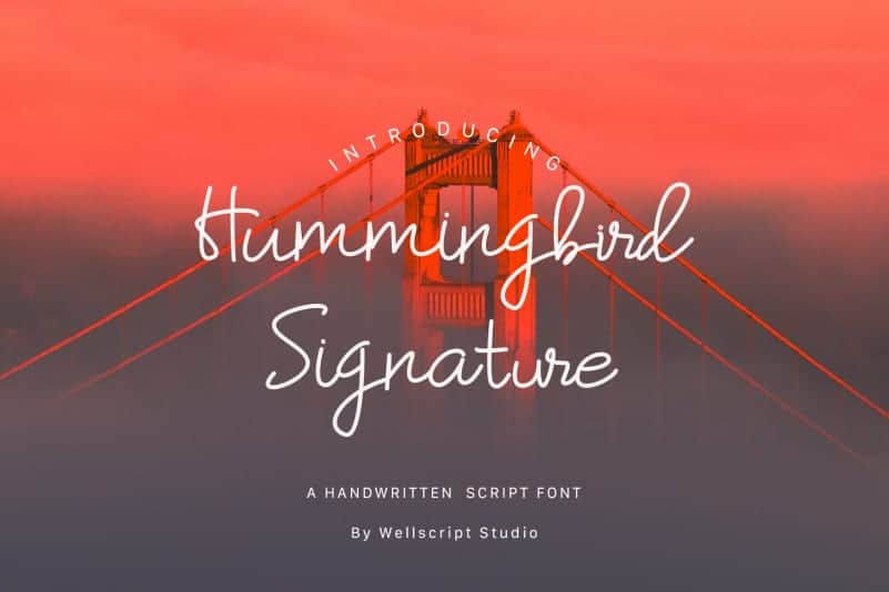 Hummingbird Handwritten Font