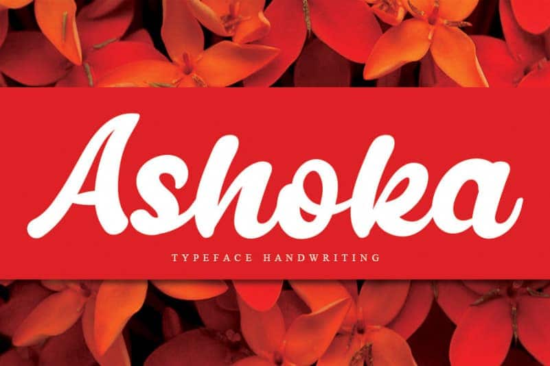 Ashoka Bold Script Font - UpFonts