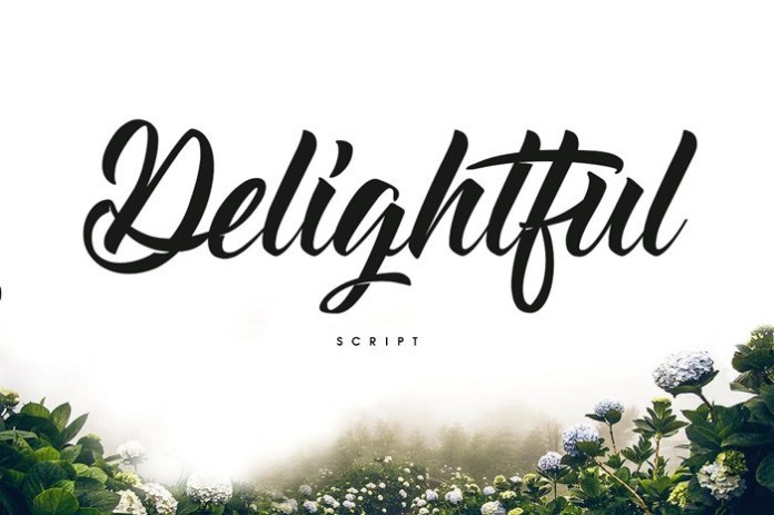 Delightful Script Font