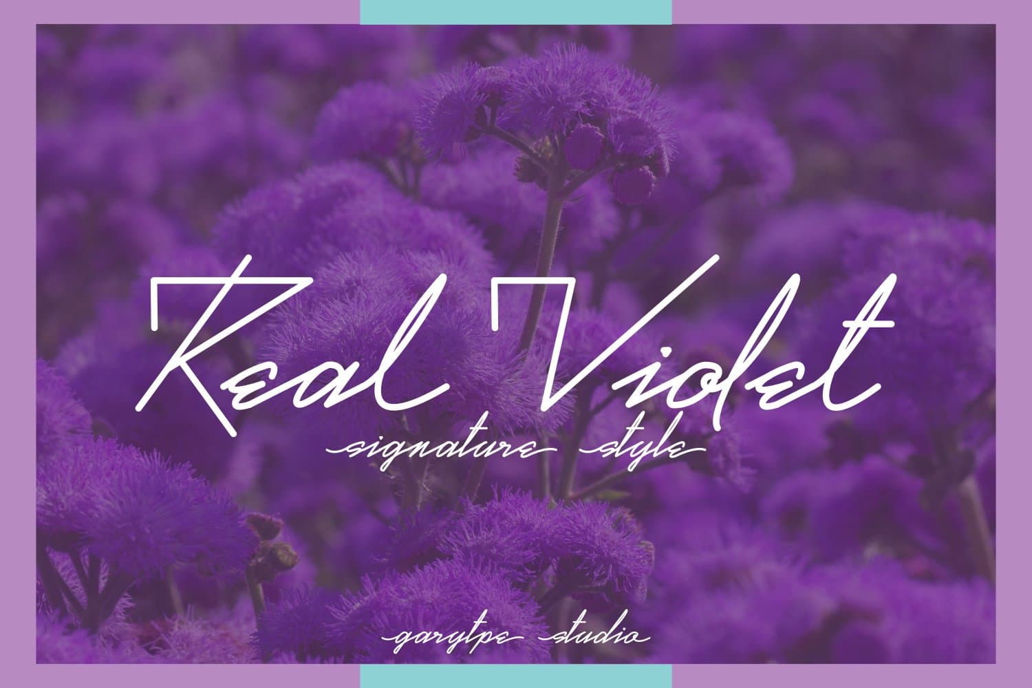 Real Violet Script Font
