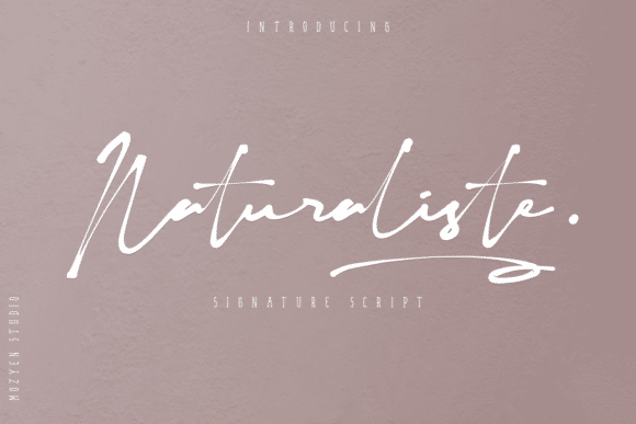 Naturaliste Script Font