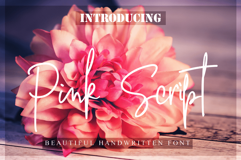 Pink Script Font