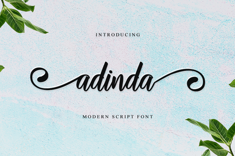 Adinda Modern Script Font