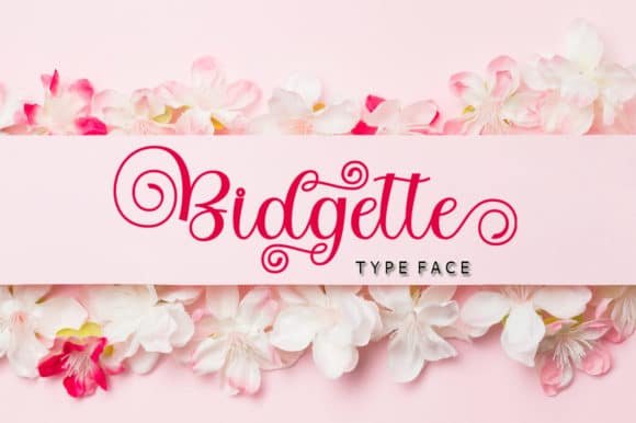 Bitgette Script Font