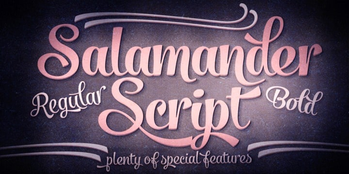 Salamander Script Font