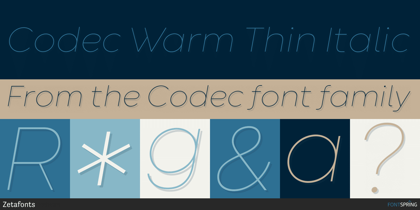 Codec Warm Font