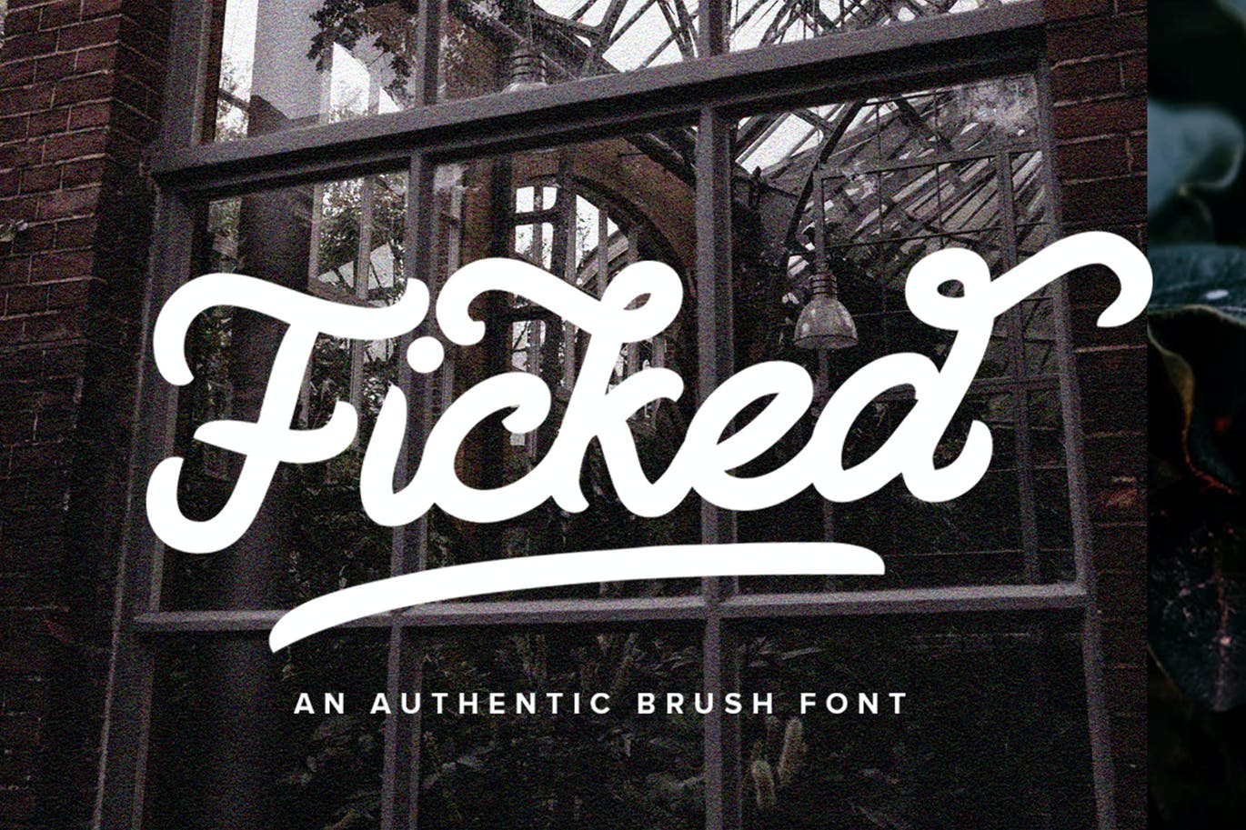 Ficked Monoline Script Font