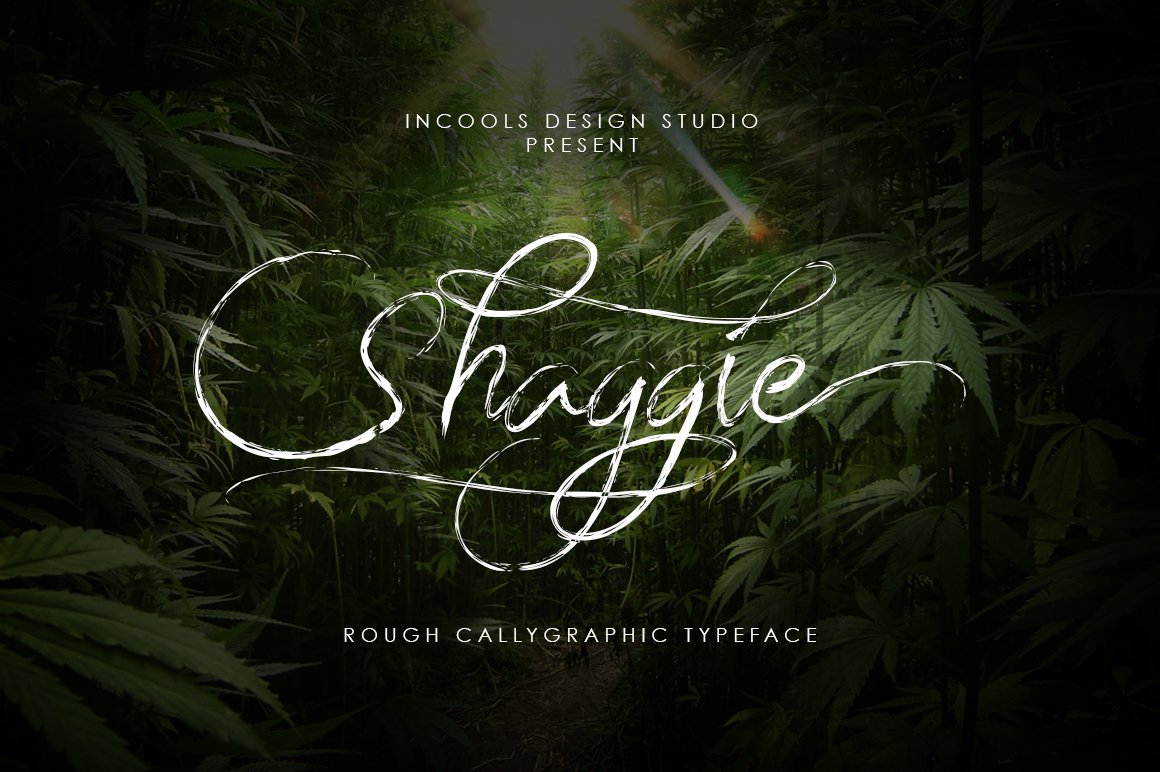 Shaggie Script Font