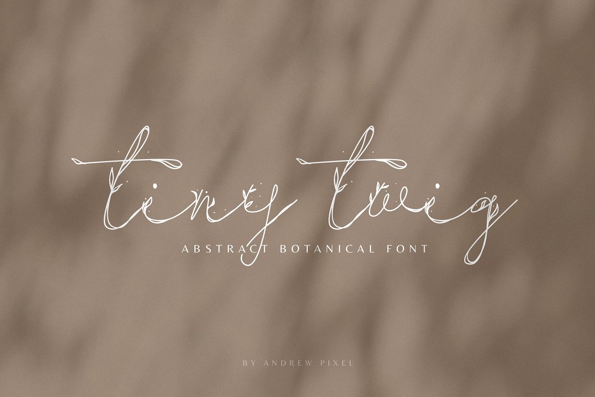 Tiny Twig – Botanical Display Font