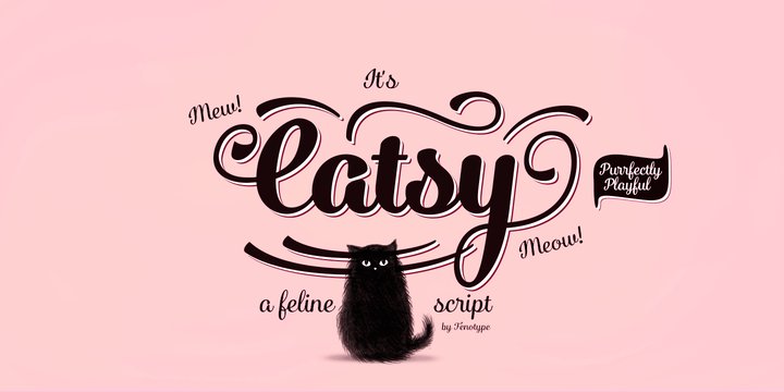 Catsy Font Family