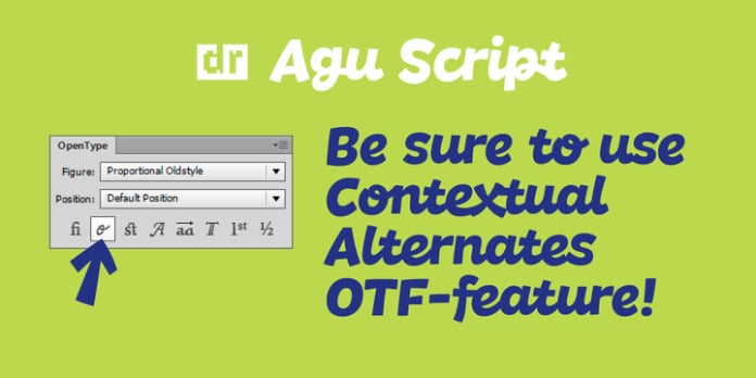 DR Agu Script Font Family