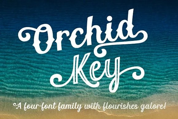 Orchid Key a retro font family