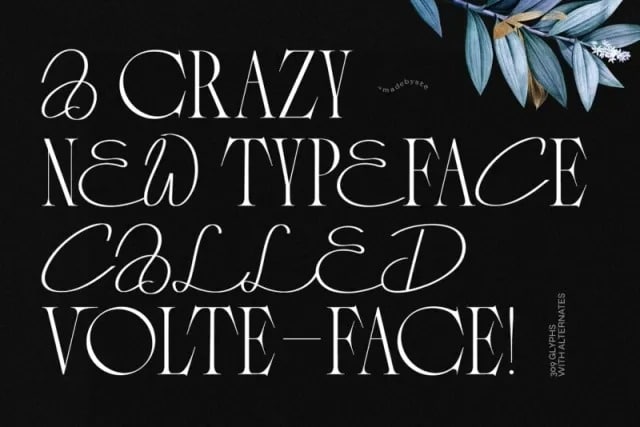 VOLTE FACE Serif & Script Font 1
