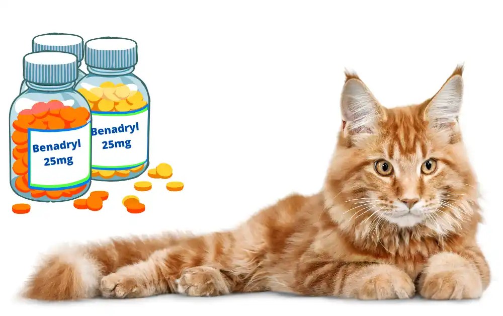 Cats Benadryl Dosage Chart