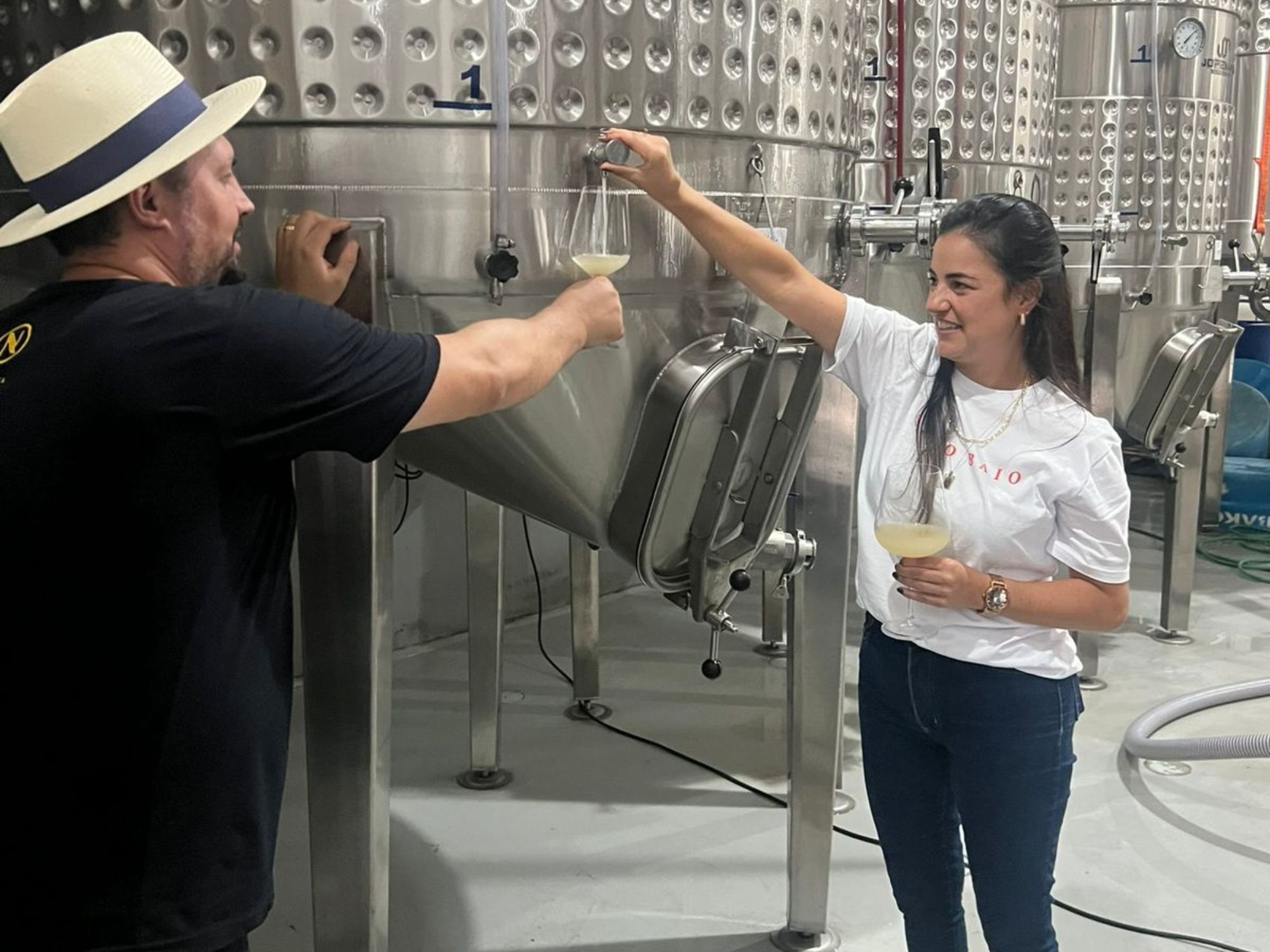 vinhos