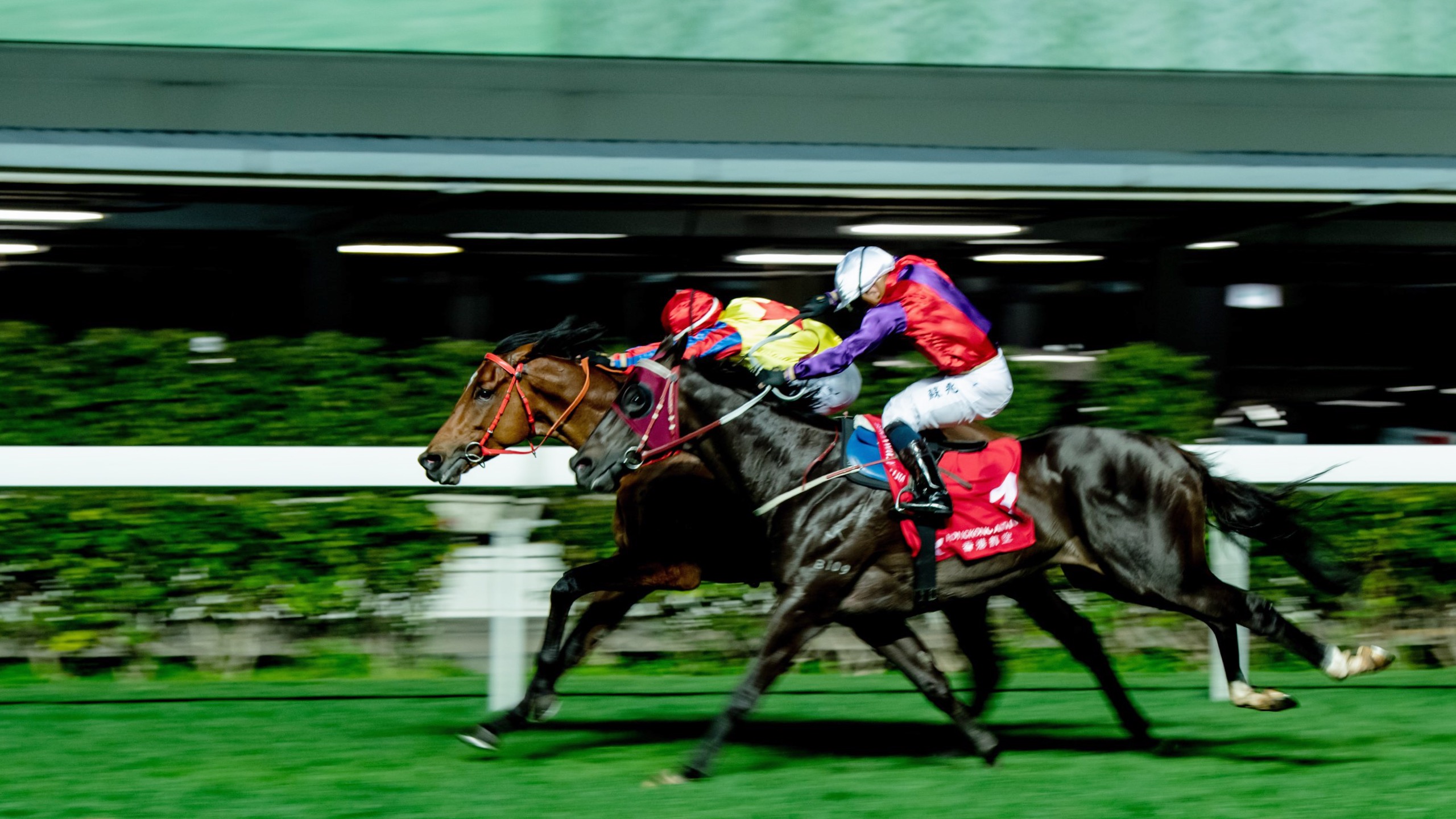 阪神競馬場19 香港賽馬會 Azyvp
