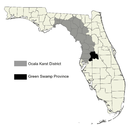 Green Swamp Florida Wikipedia Green Swamp Province 