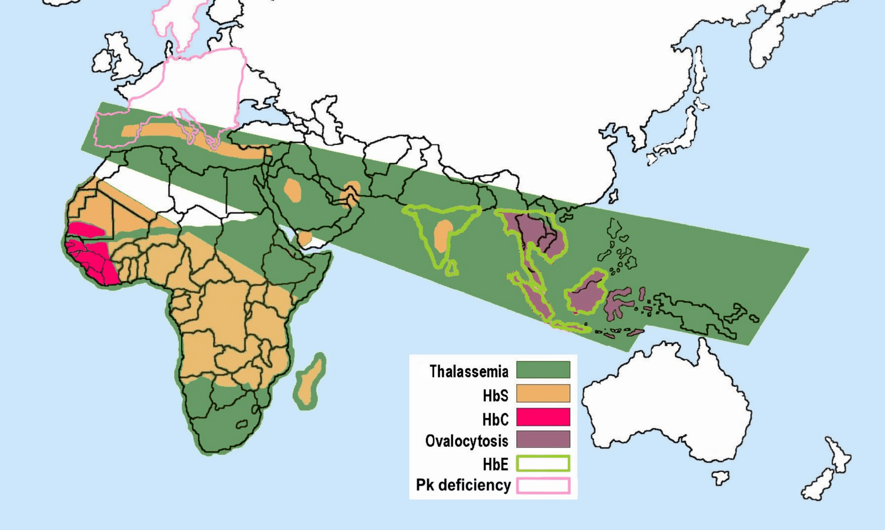 There are two main groups: Hemoglobin Variants Wikipedia