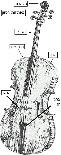 String instruments