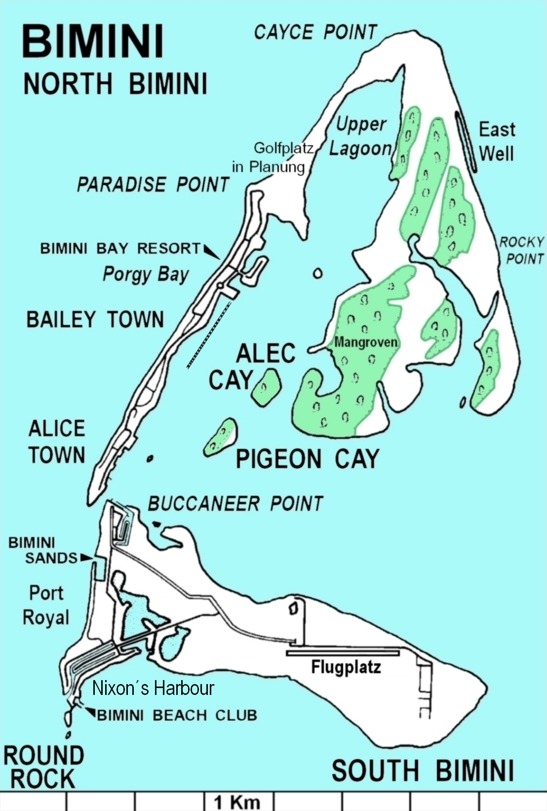 John Lewis So America Mars Colonists Parrot Soul ET S Rewriting Bimini N S.JPG