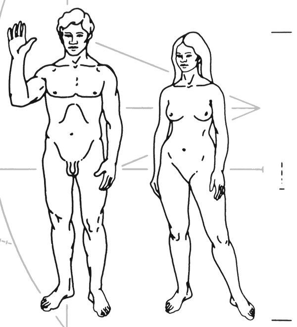 The Pioneer plaque.