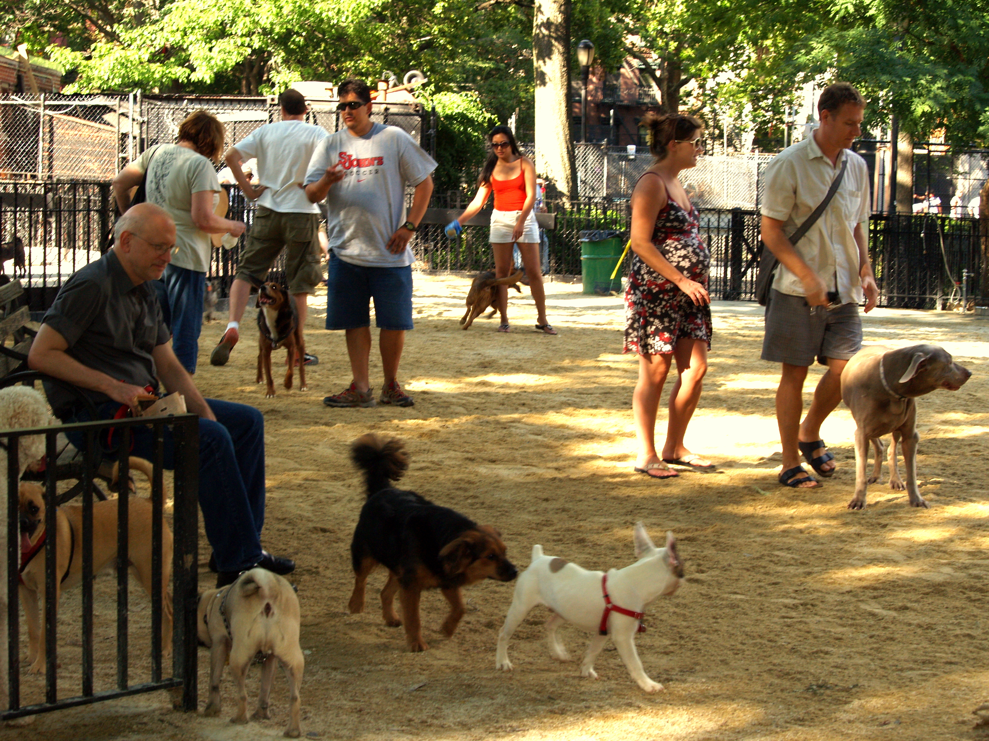 Newport Dog Park Has To Move Or Cease To Exist