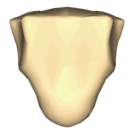 Https Encrypted Tbn0 Gstatic Com Images Q Tbn 3aand9gcquumxlpugzk 14i T0tcxqqs6qtvexpnfsavouif E0i6covy8 Usqp Cau