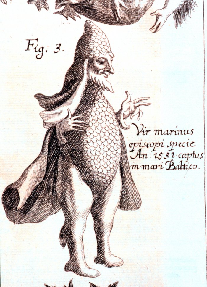 Johann Zahn, Vir marinus, 1696. Wassermann, Nix