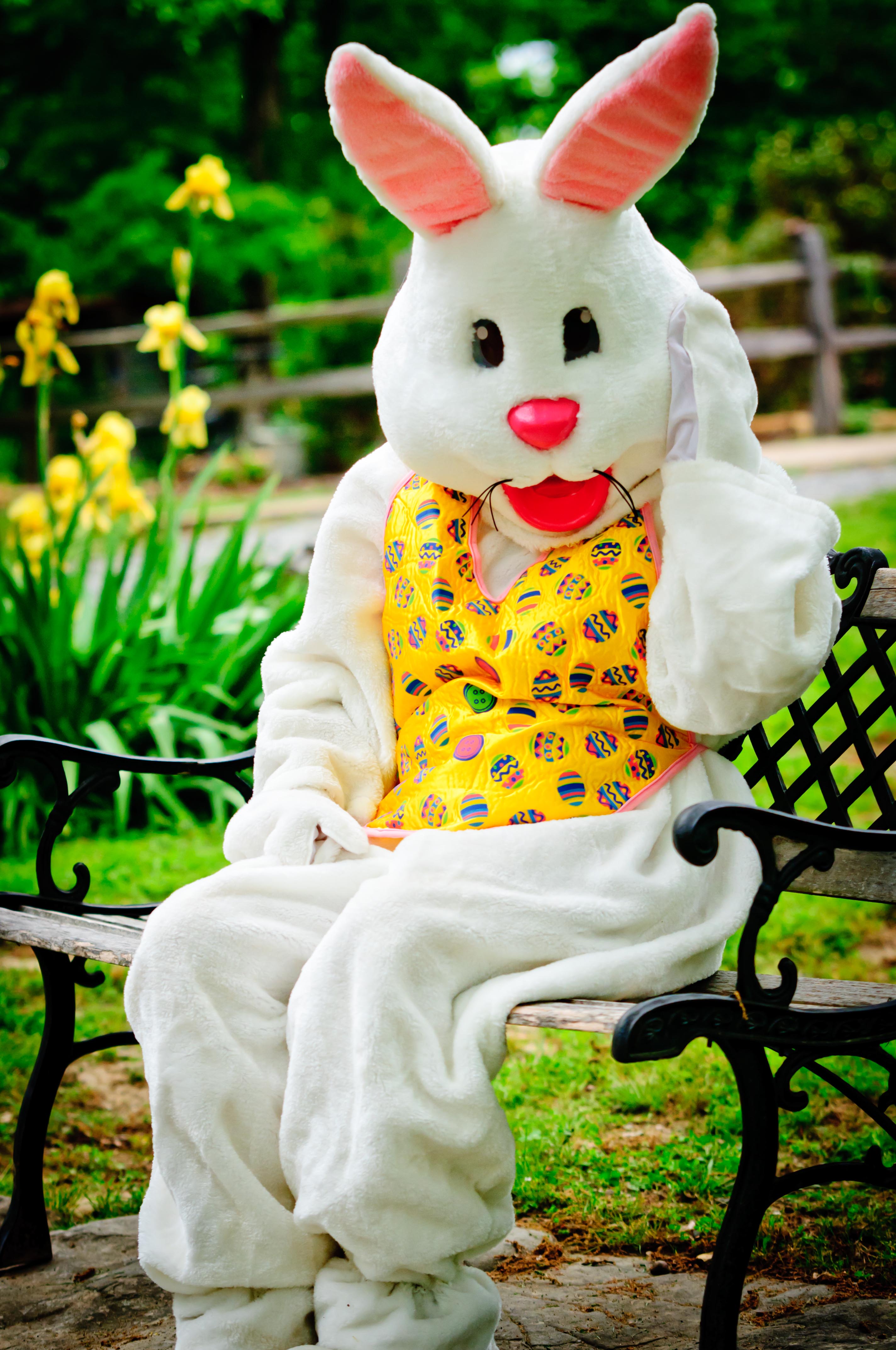 Who can resist this adorable and easy to make easter bunny cake recipe. File Easter Bunny Jpg Wikimedia Commons