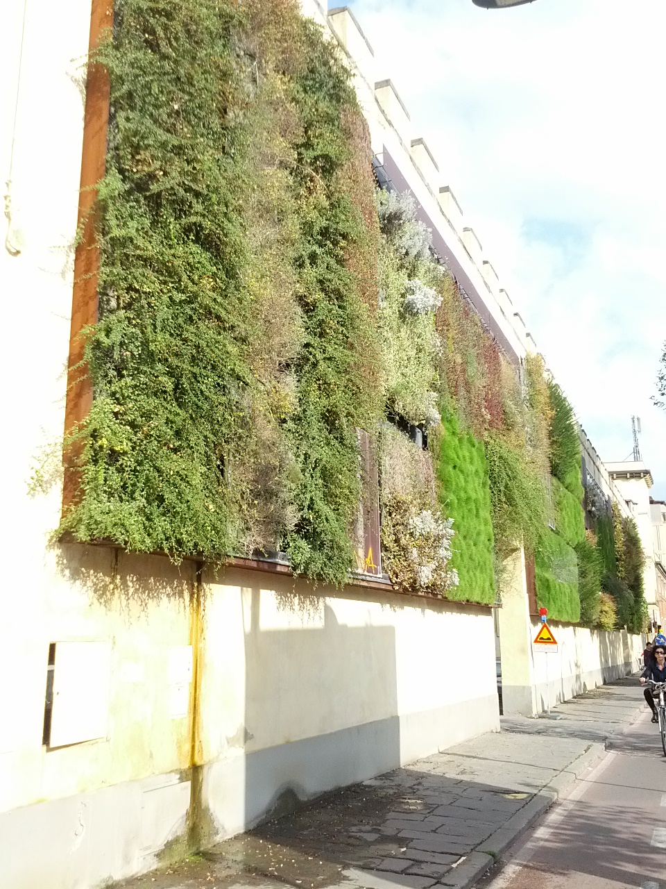 Crea il Tuo Giardino Verticale | Idee Giardinieri