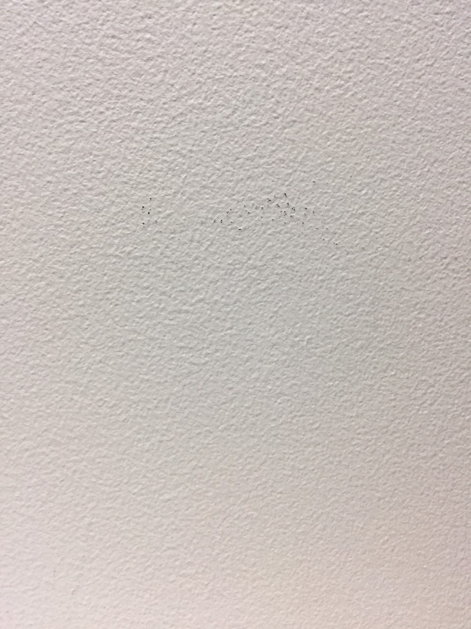 Because every space needs a different type of white! File White Wall Jpg Wikimedia Commons