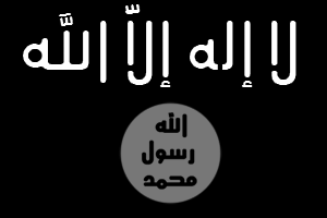 English: Flag of Harakat al-Shabaab al-Mujahideen