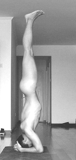 English: Yoga Head Stand Naked
