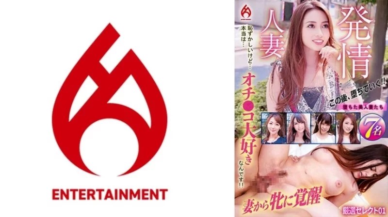 016DHT-0912 016DHT-0912 - 