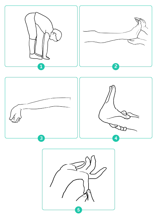 The Beighton Score Clinical Physio Membership - Download Amazing Gradient Image | 4K