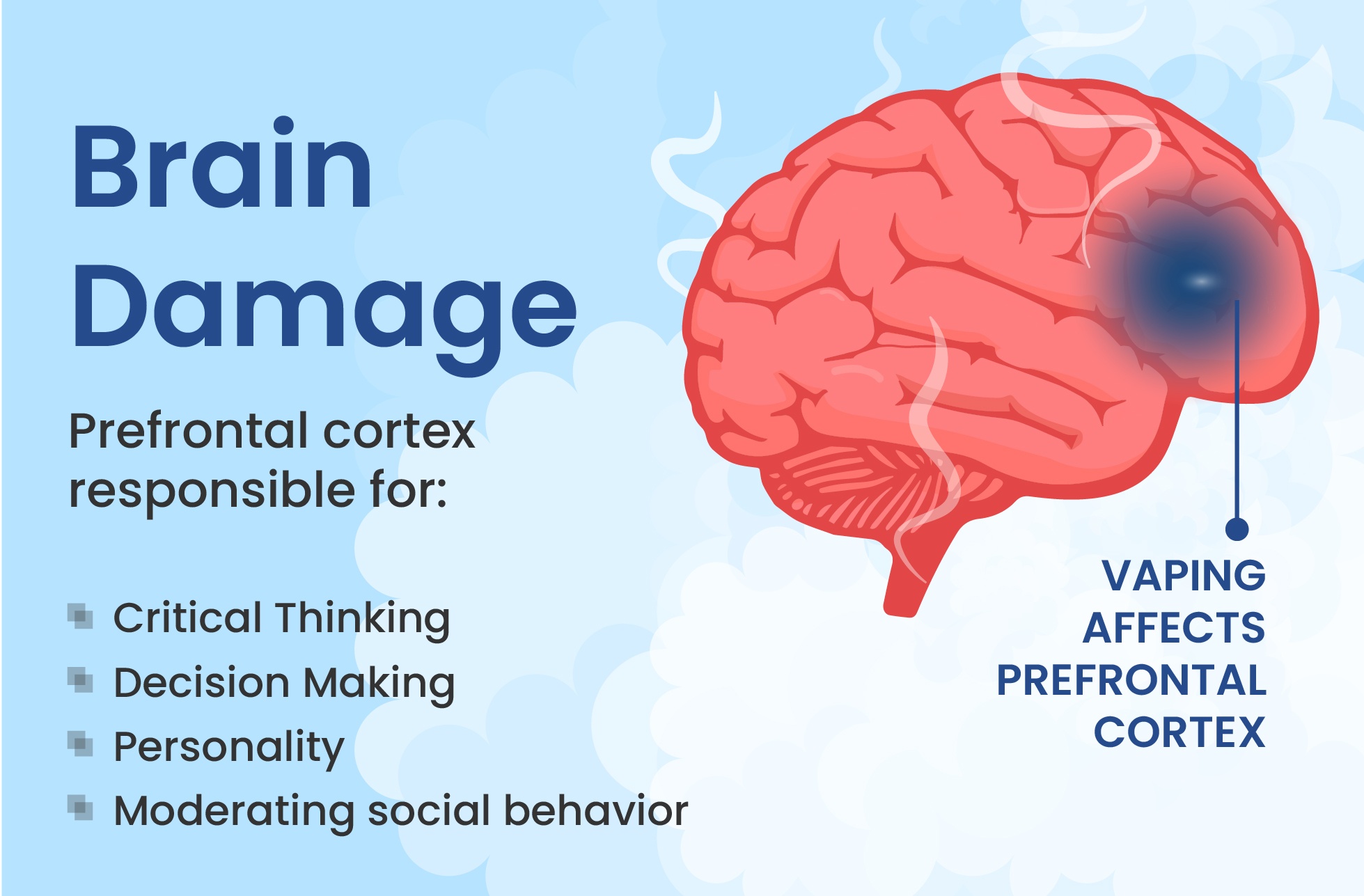 Nicotine effects on brain