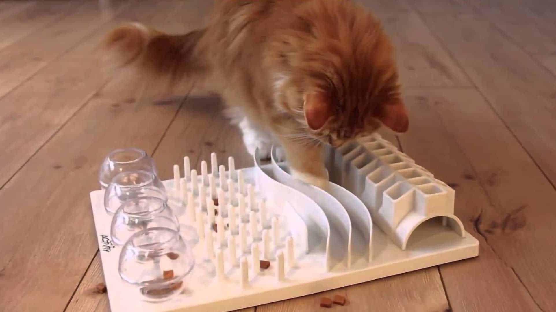 Puzzle feeders for cats